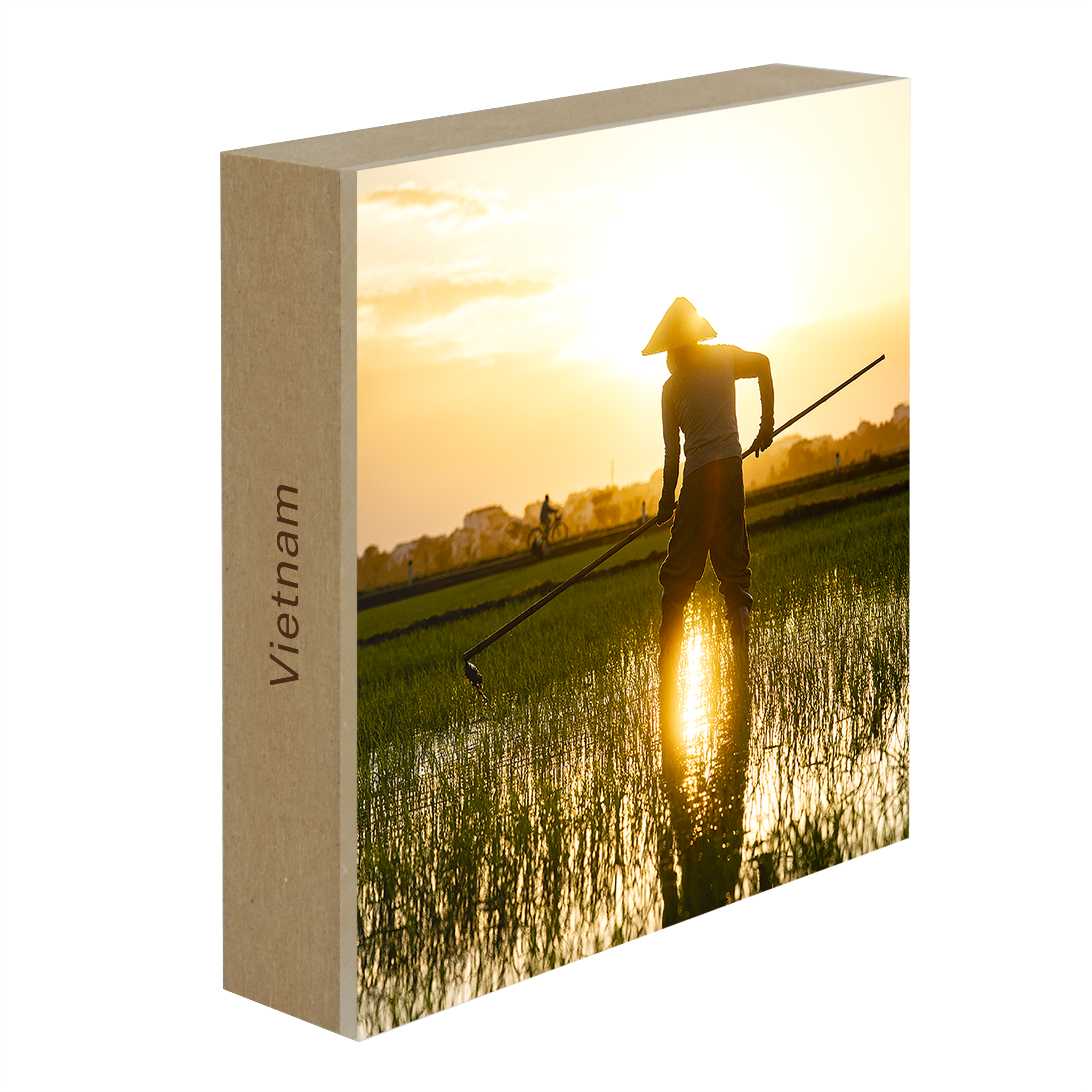 The Rice Farmer- Collection: Vietnam