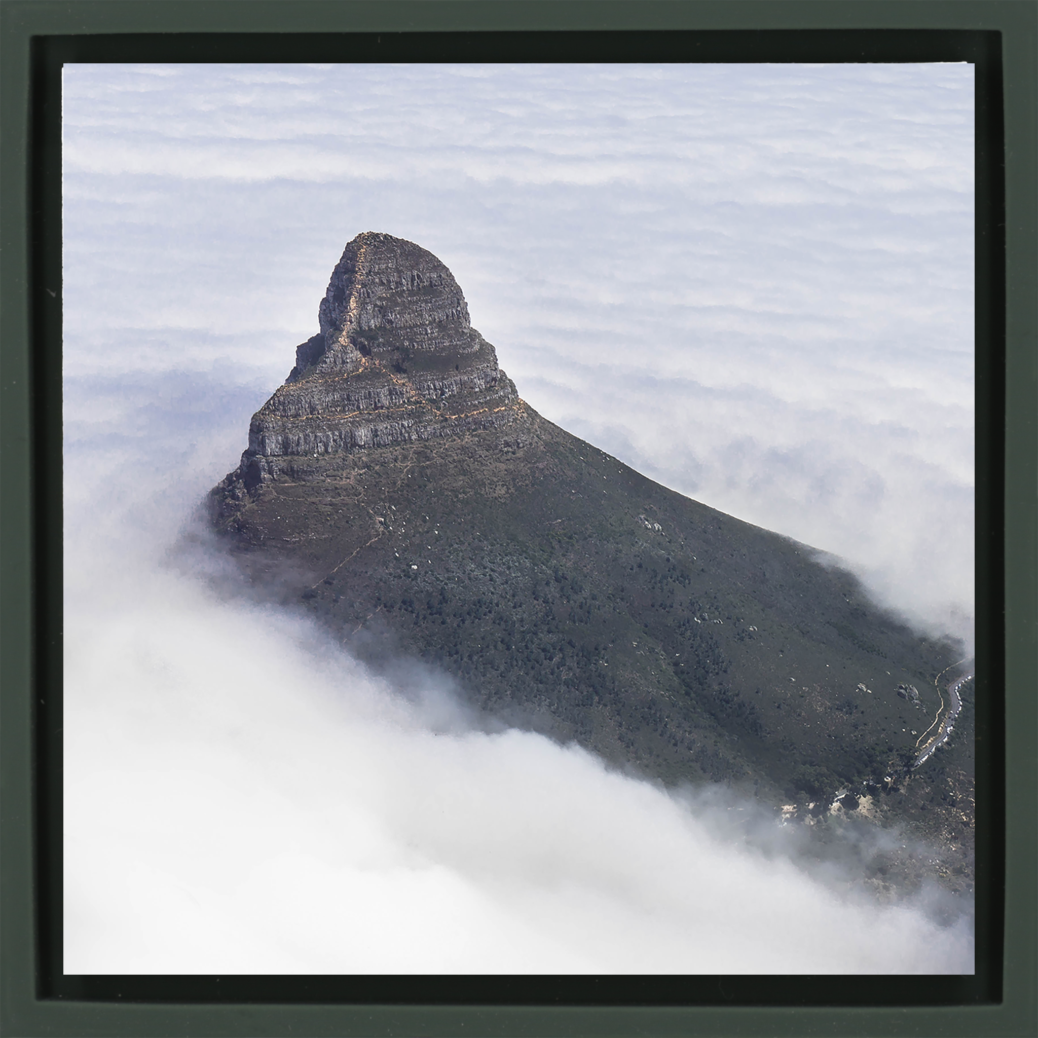 Cape Town Hidden- Dark Green Wrapp
