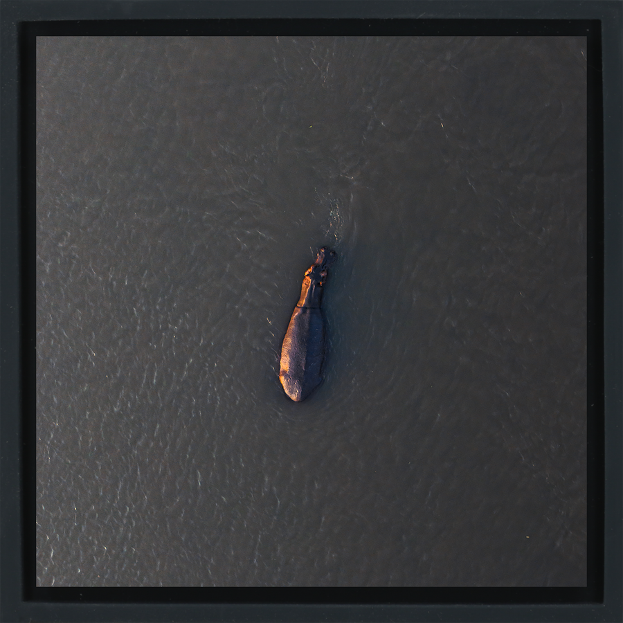 River Giant - Black Wrapp