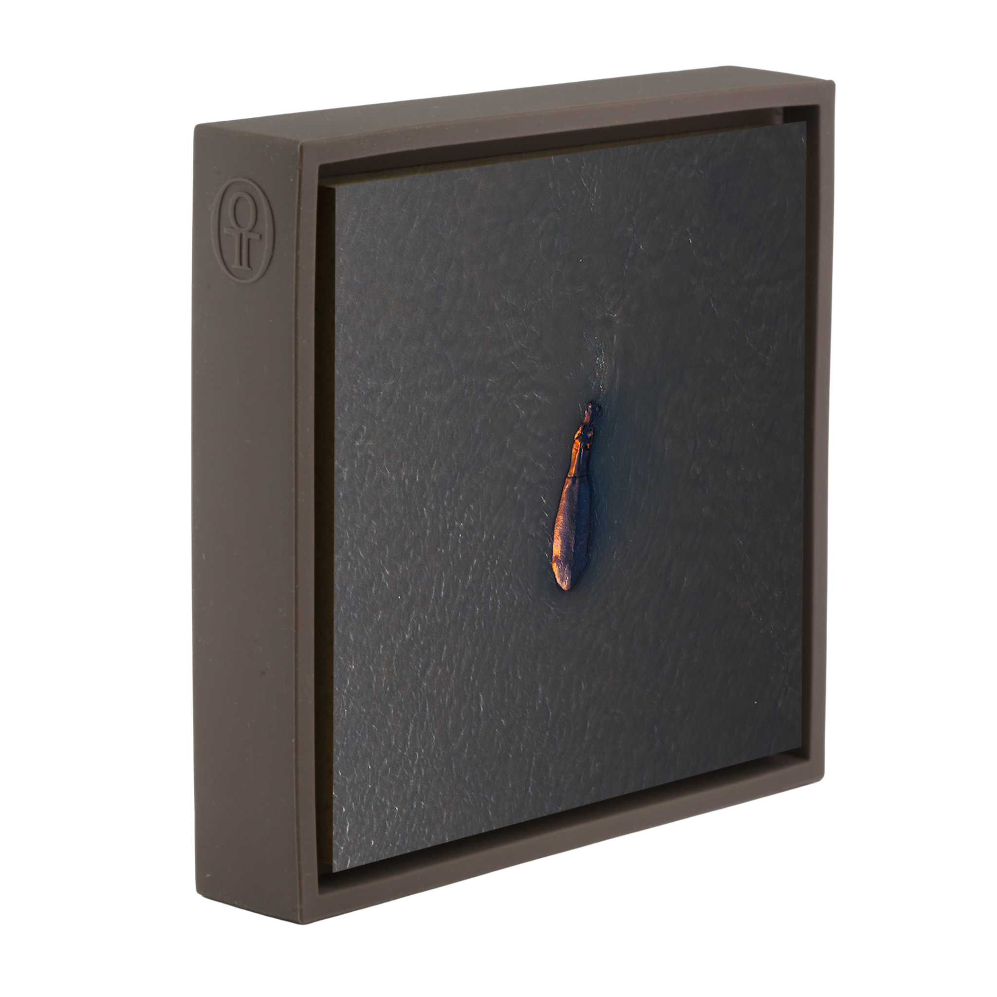 River Giant- Brown Wrapp