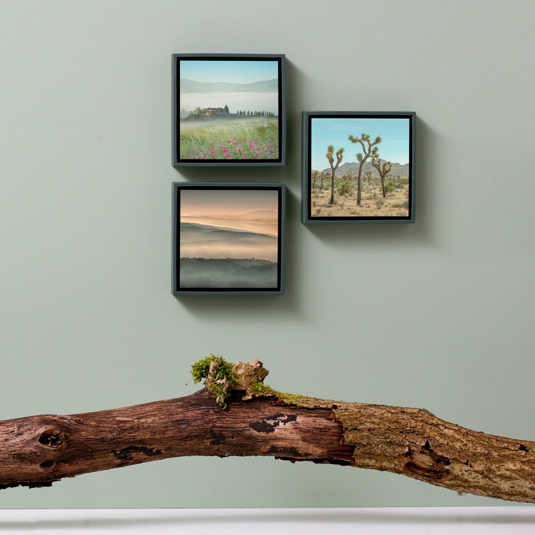 Joshua Tree - Donkergroene Wrapp