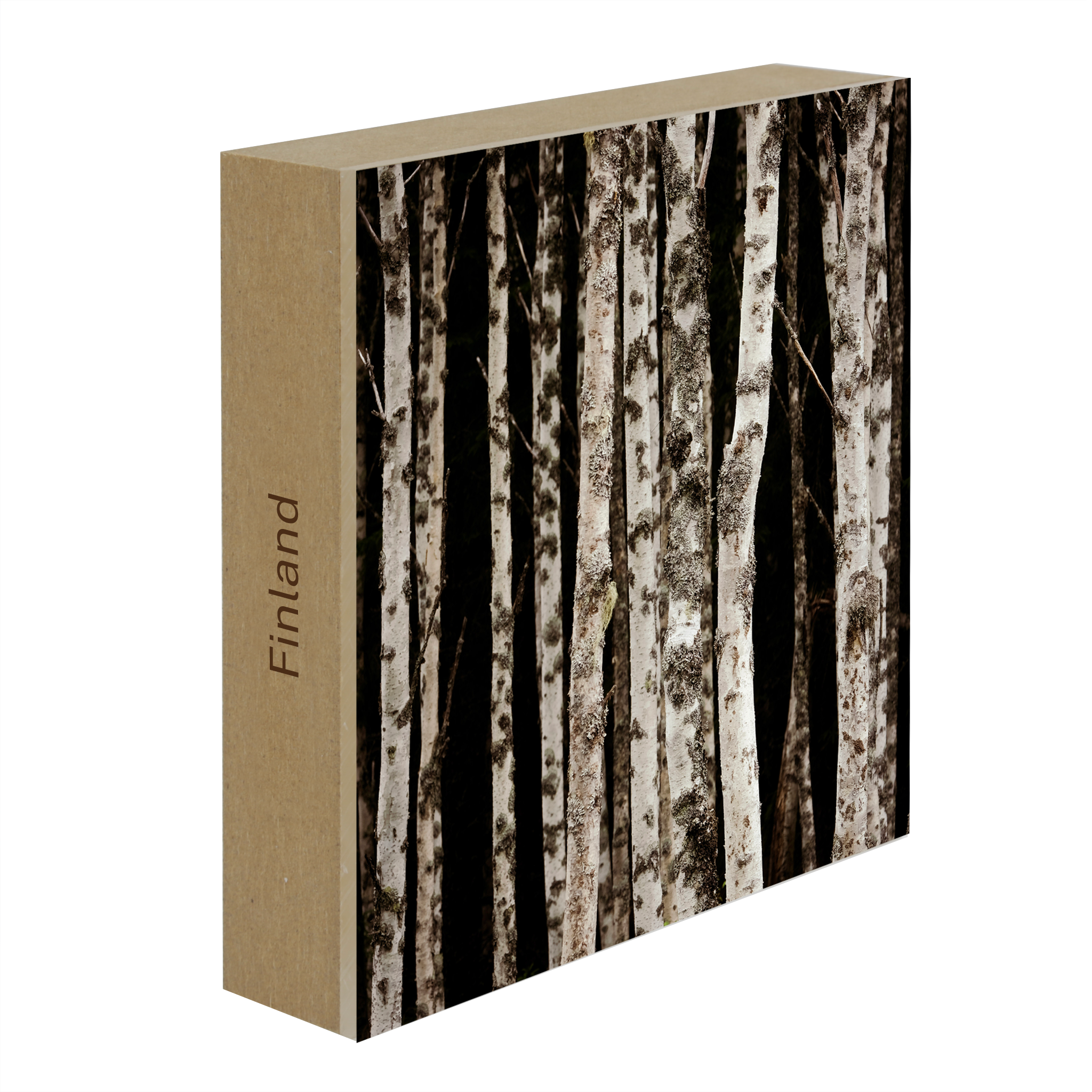Forrest of the Finns- Collectie: Finland