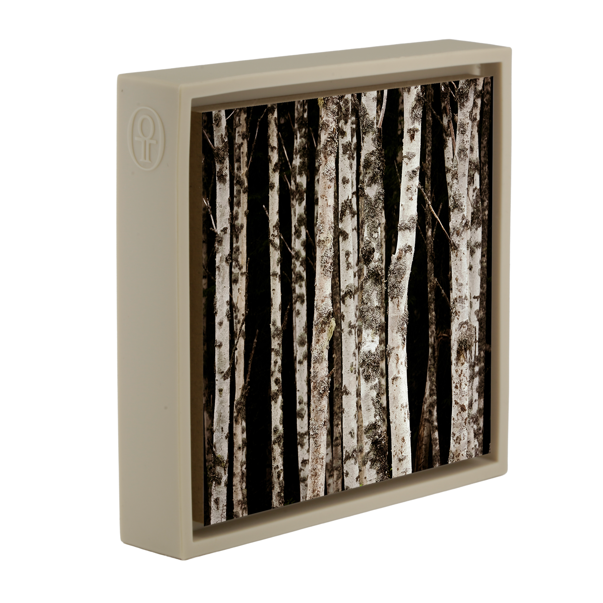 Forrest of the Finns- Sand Wrapp