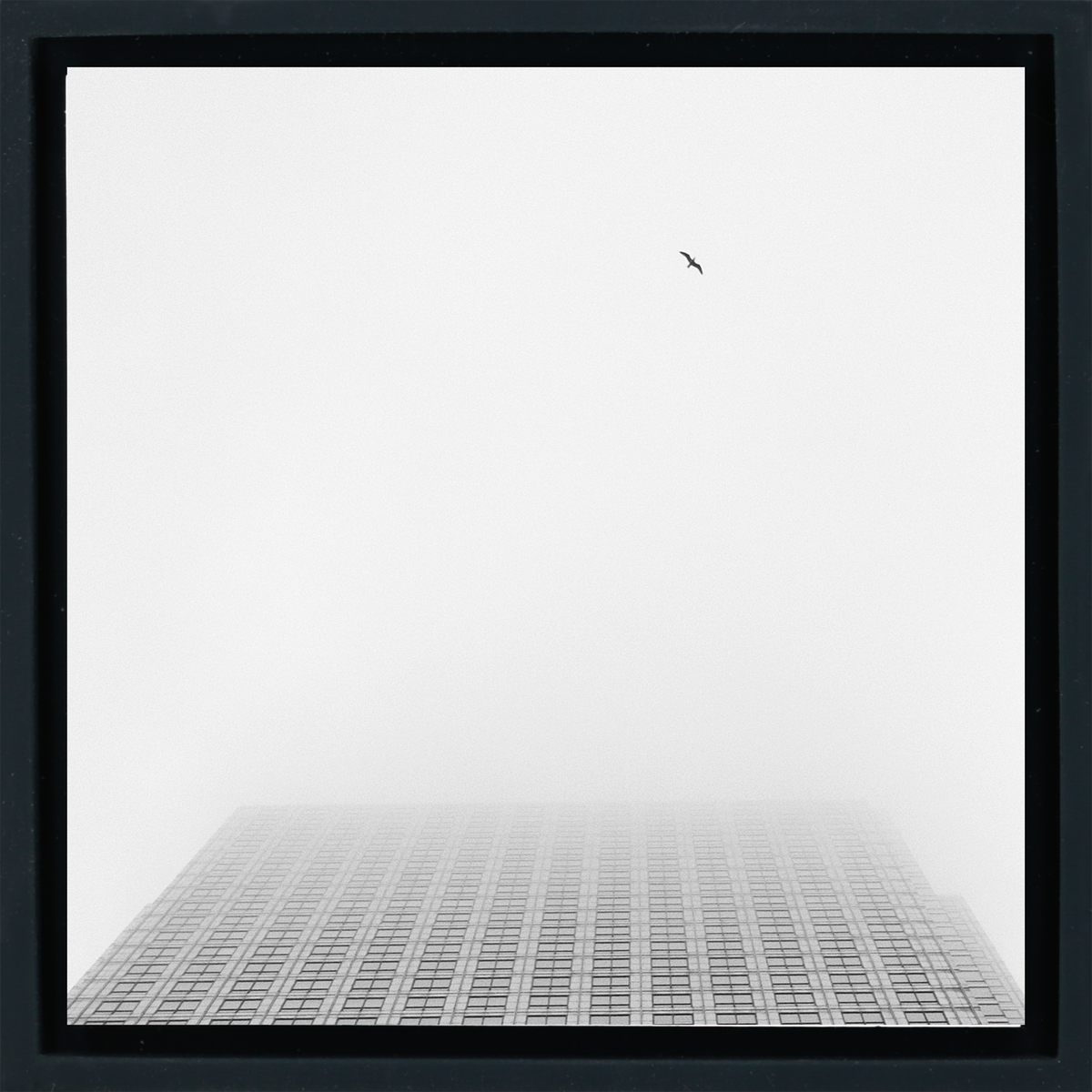 Sky High