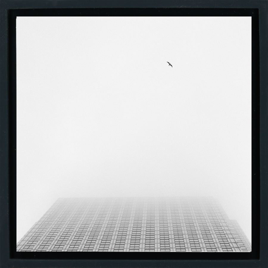 Sky High - Black Wrapp