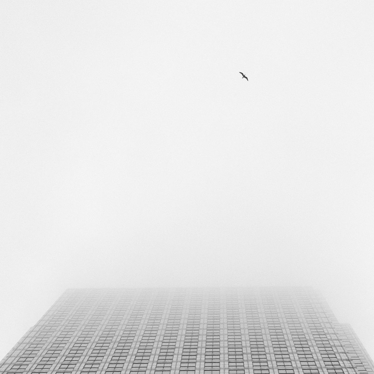 Sky High