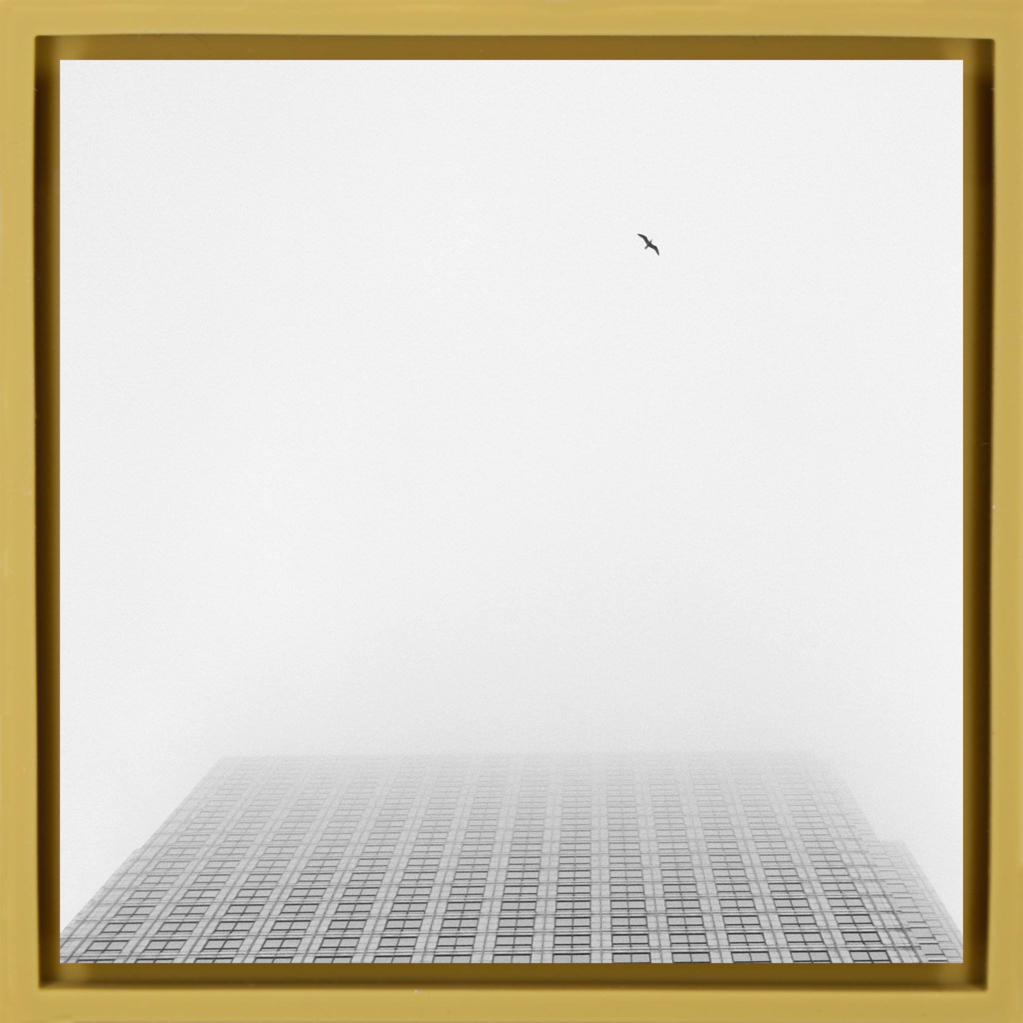 Sky High- Ochre Wrapp