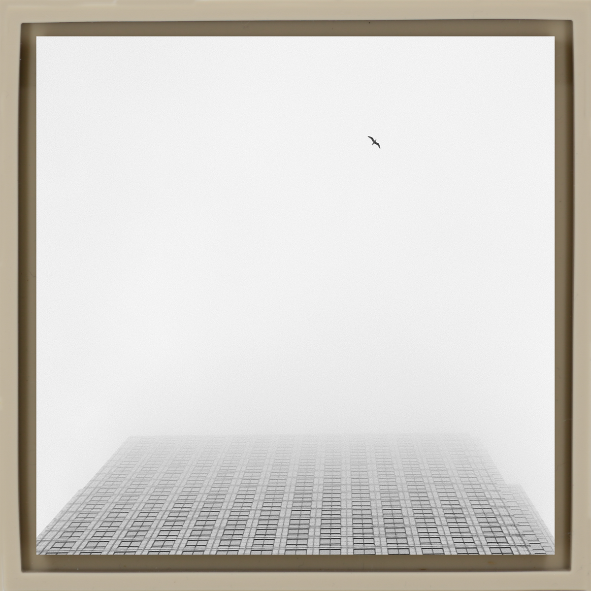 Sky High