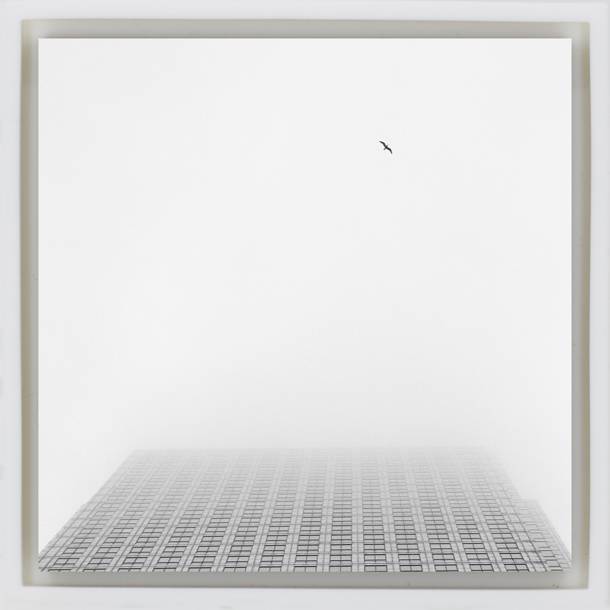 Sky High- White Wrapp