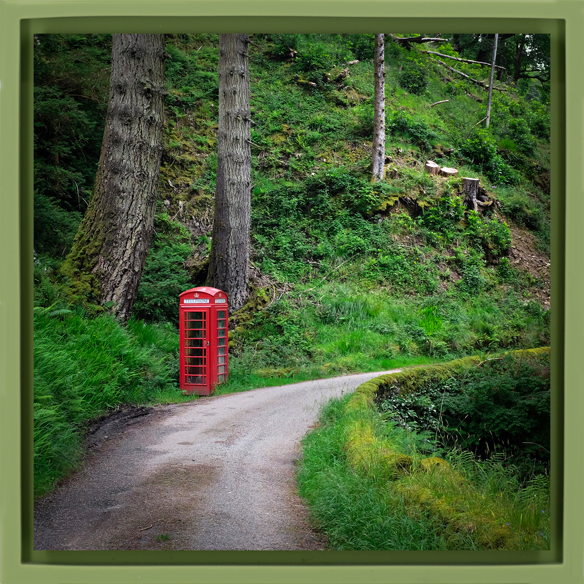 Unexpected Signals - Lichtgroene Wrapp