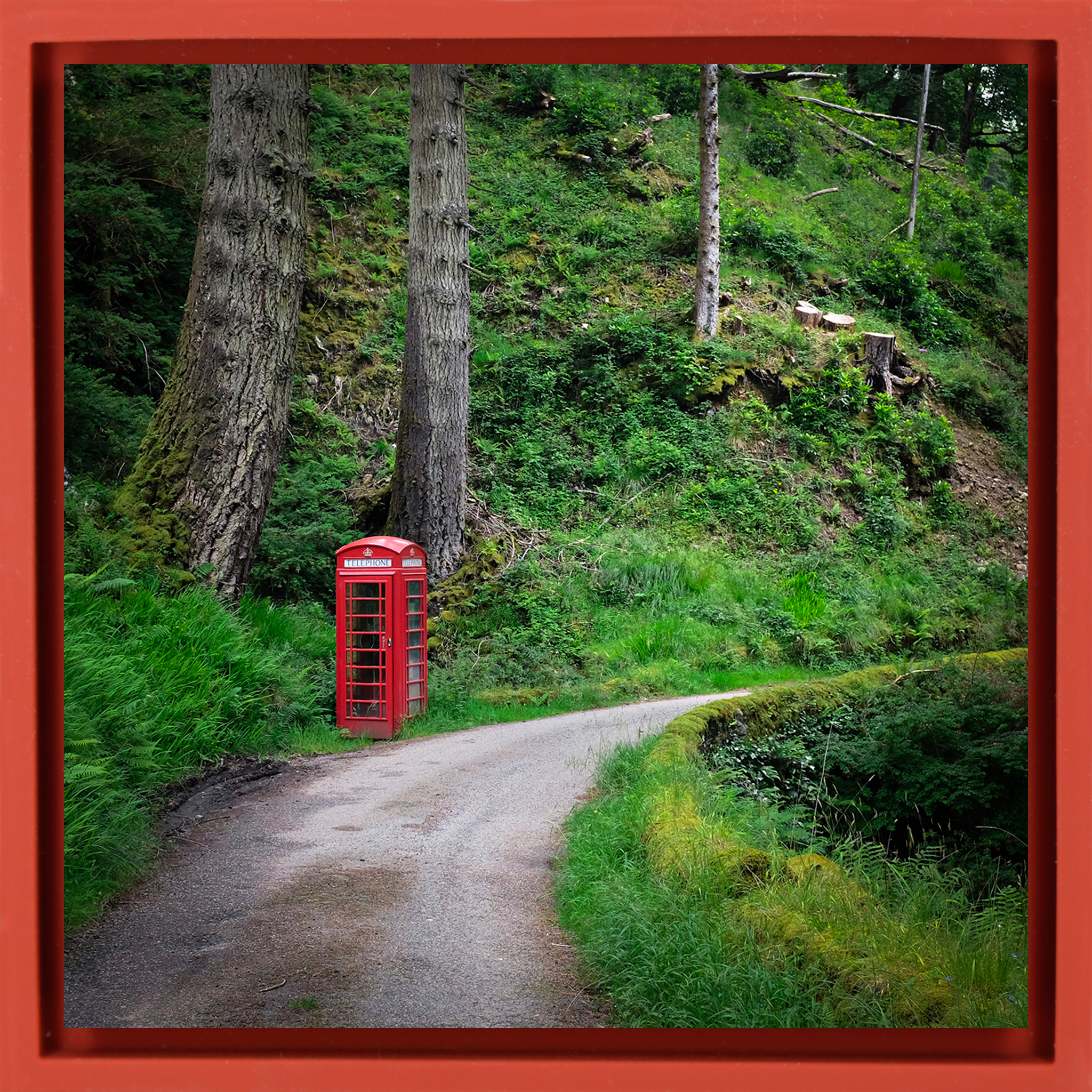 Unexpected Signals - Rode Wrapp