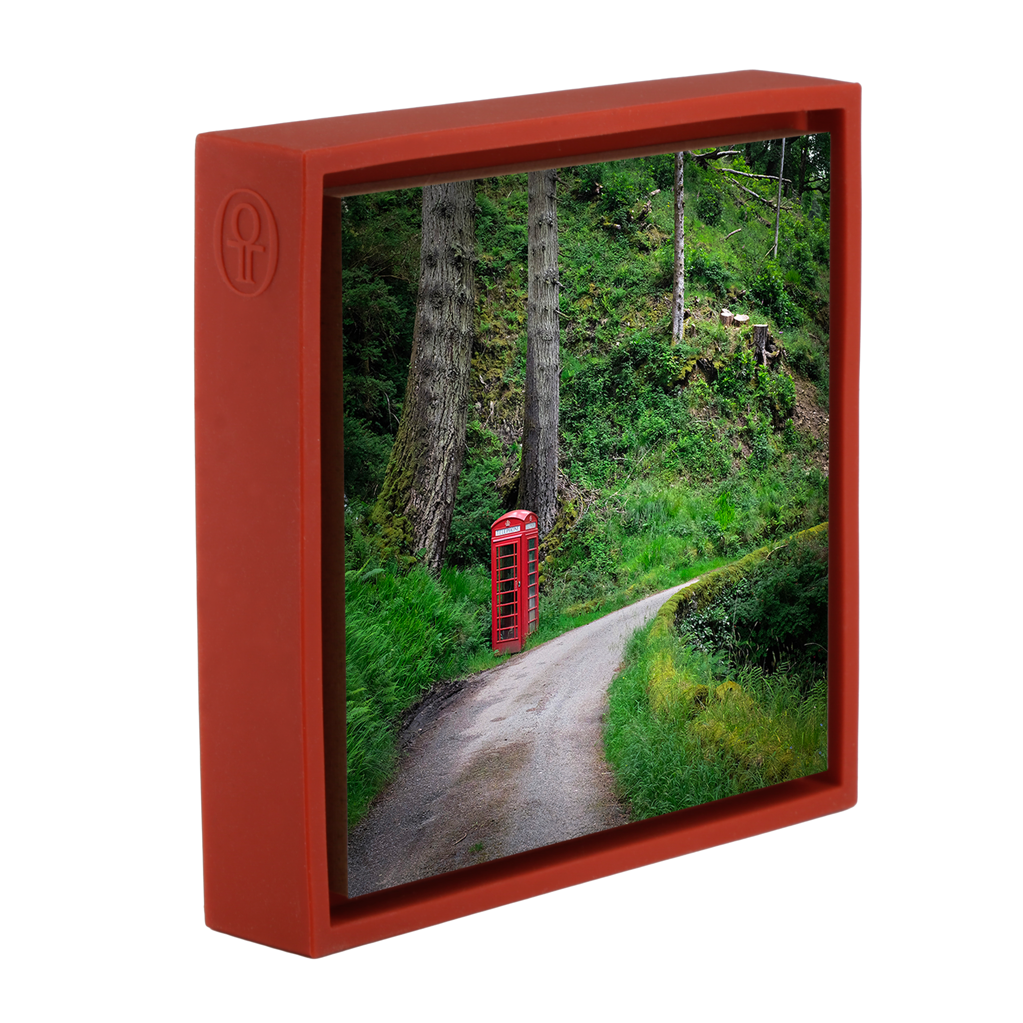 Unexpected Signals- Red Wrapp
