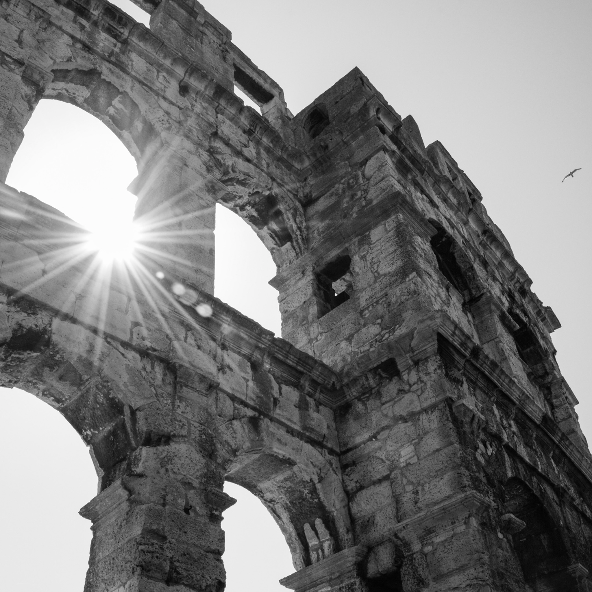 A Sunny Day- Collection: Croatia