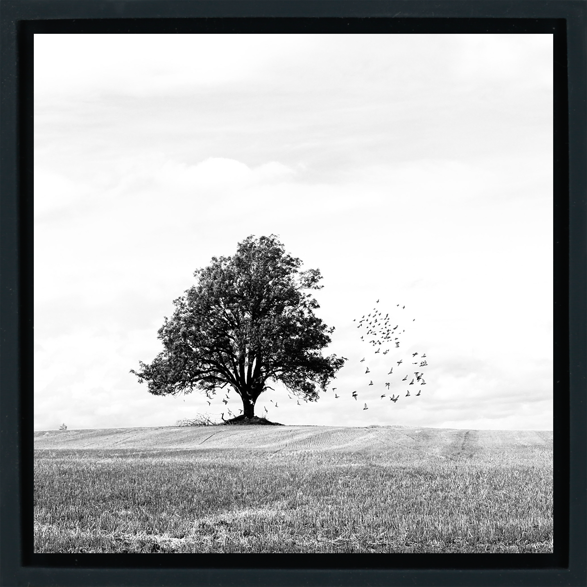 Autumn - Zwarte Wrapp