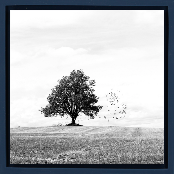 Autumn - Dark Blue Wrapp