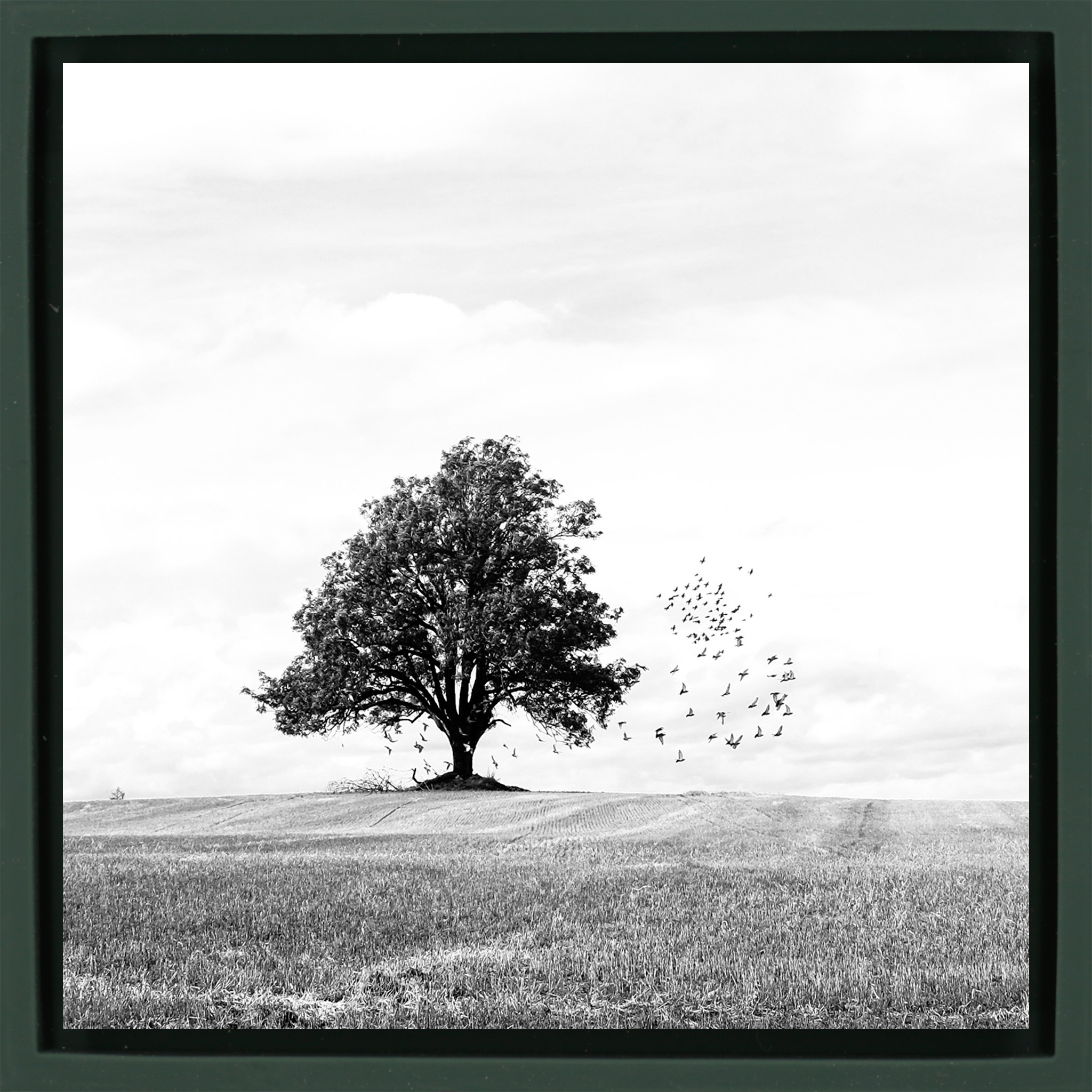 Autumn - Donkergroene Wrapp