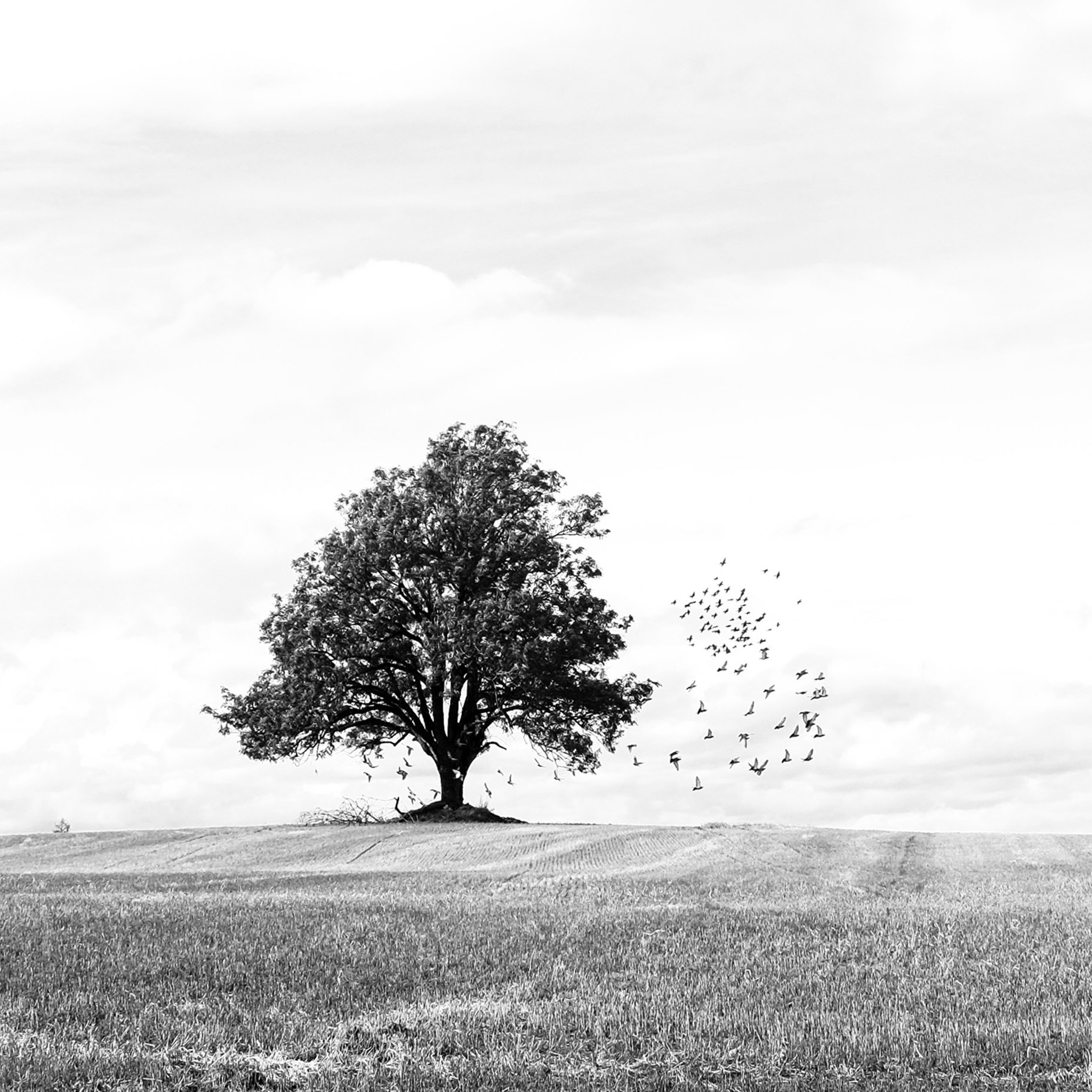 Autumn- Collection: Norway