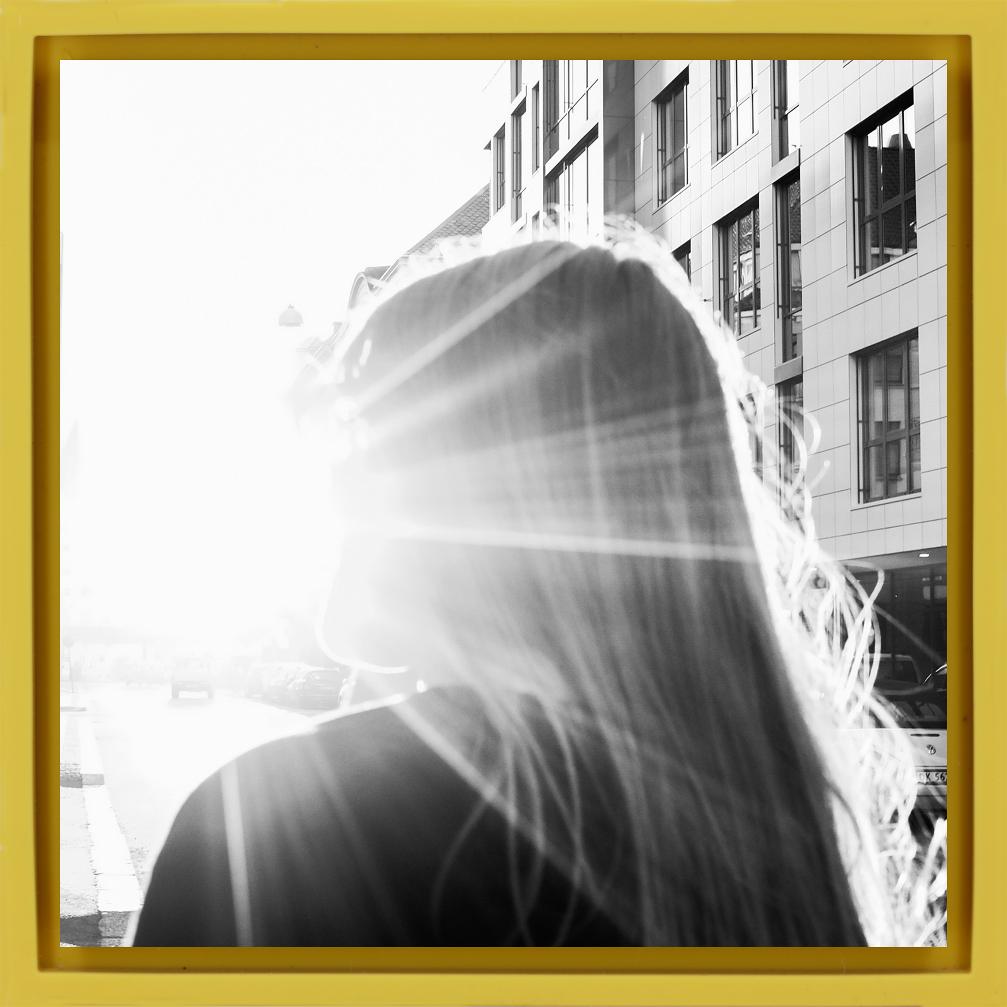 The Rainiest Place On Earth- Yellow Wrapp