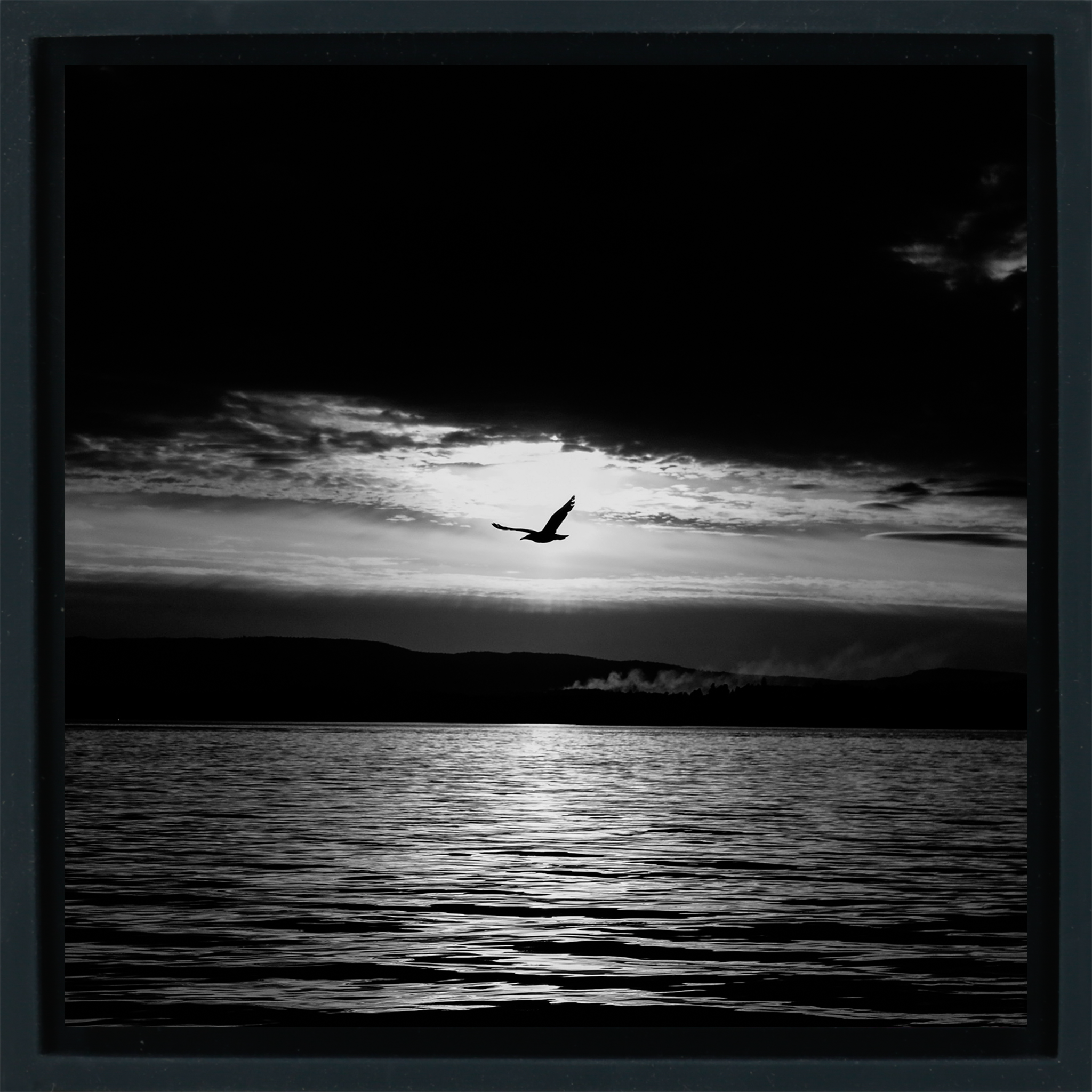 Frühlingsnacht – Schwarzes Wrapp