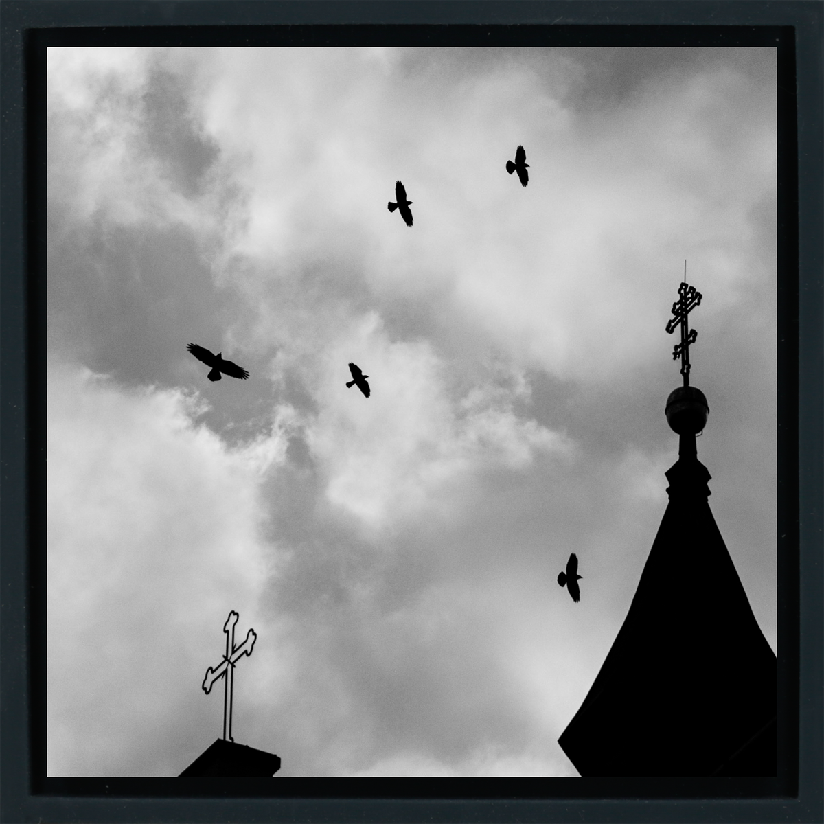 Crosses And Crows
