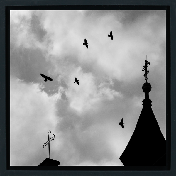 Crosses And Crows - Black Wrapp