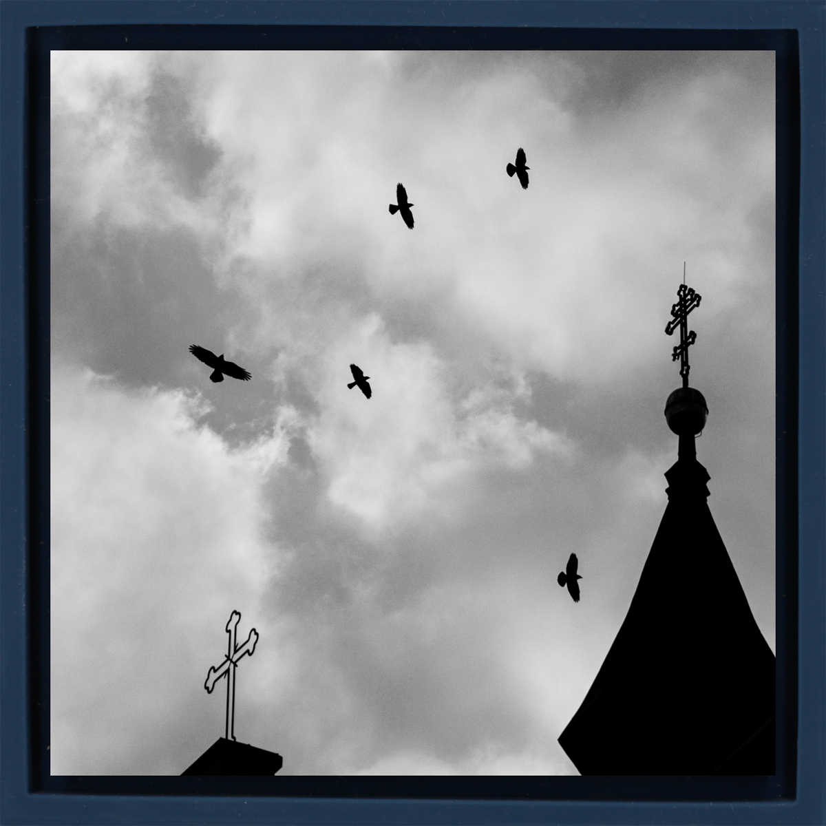 Crosses And Crows