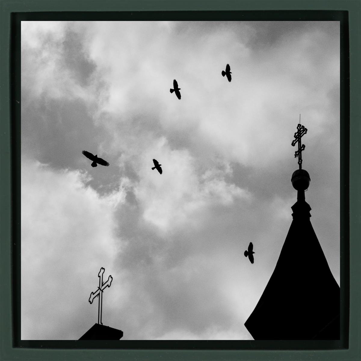 Crosses And Crows