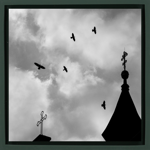 Crosses And Crows - Dark Green Wrapp