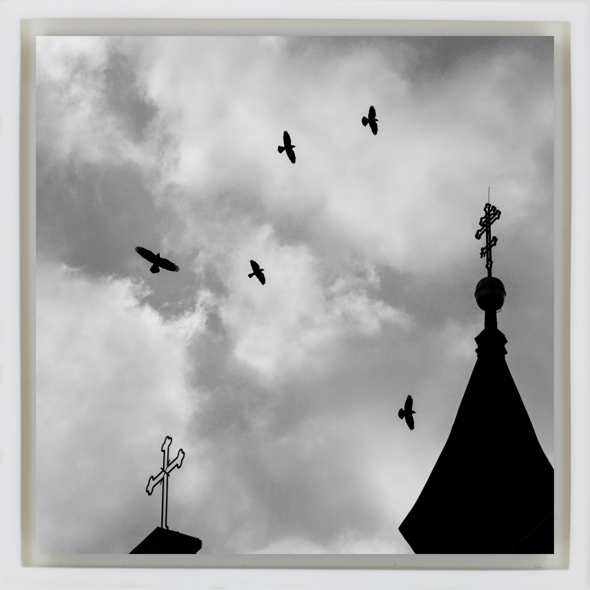 Kreuze und Krähen – Weiße Verpackung