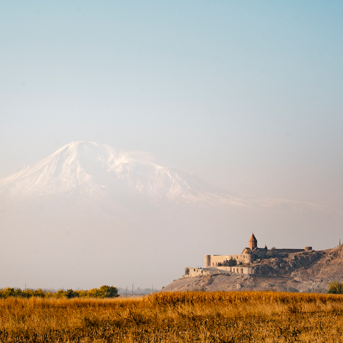 View on Ararat