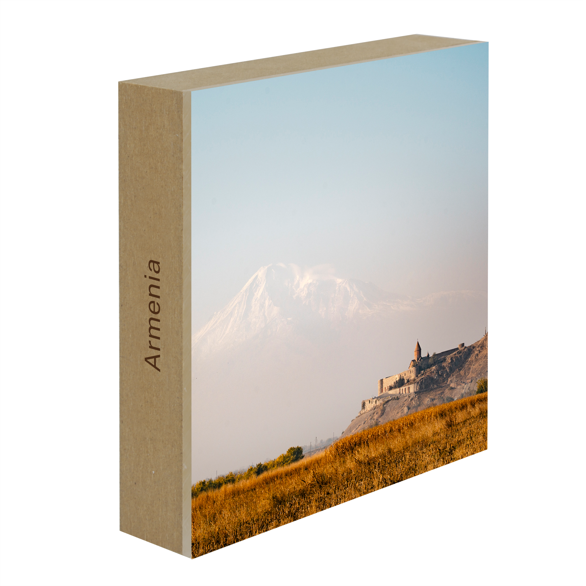 View on Ararat- Collection: Armenia