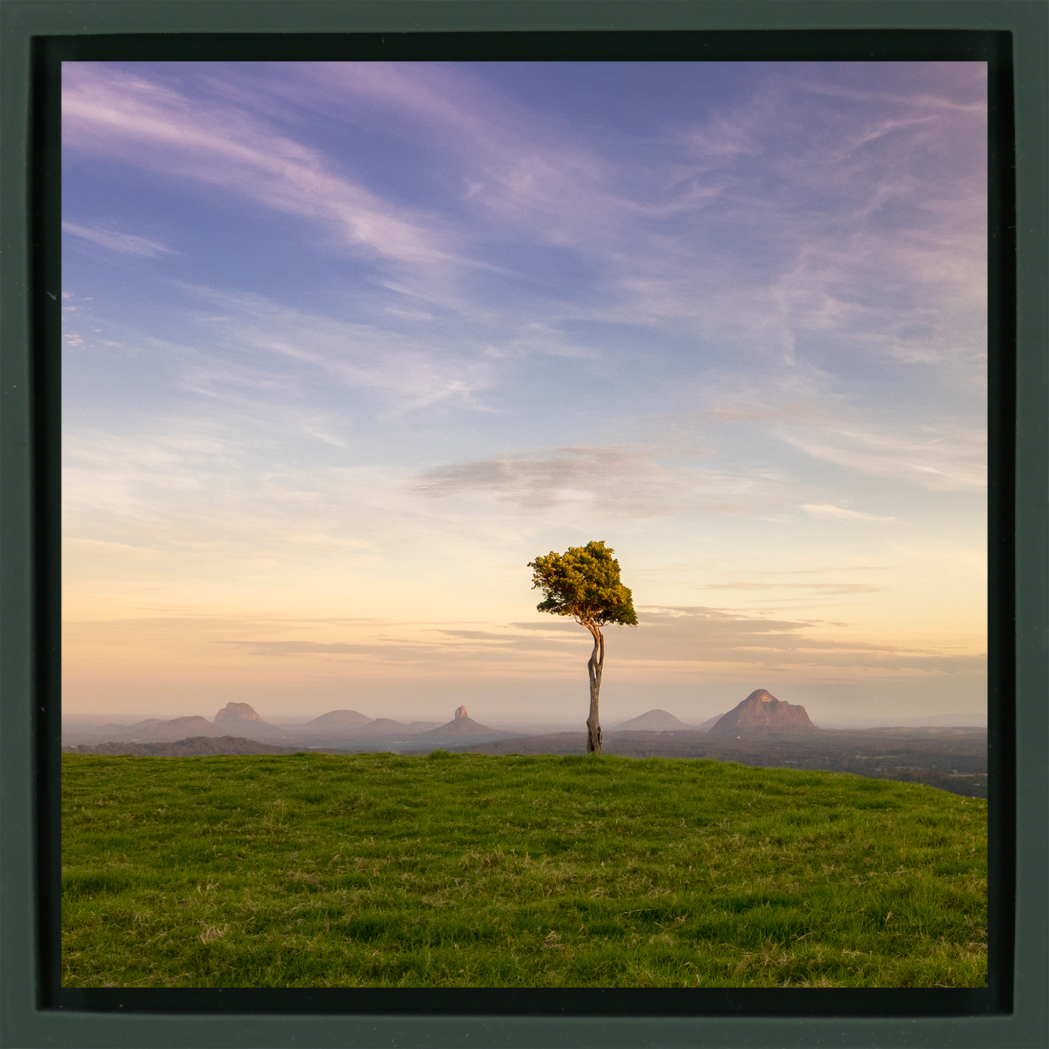 Ancient Landscape - Donkergroene Wrapp