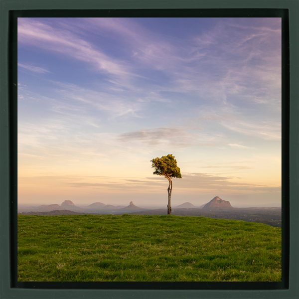 Ancient Landscape - Dark Green Wrapp