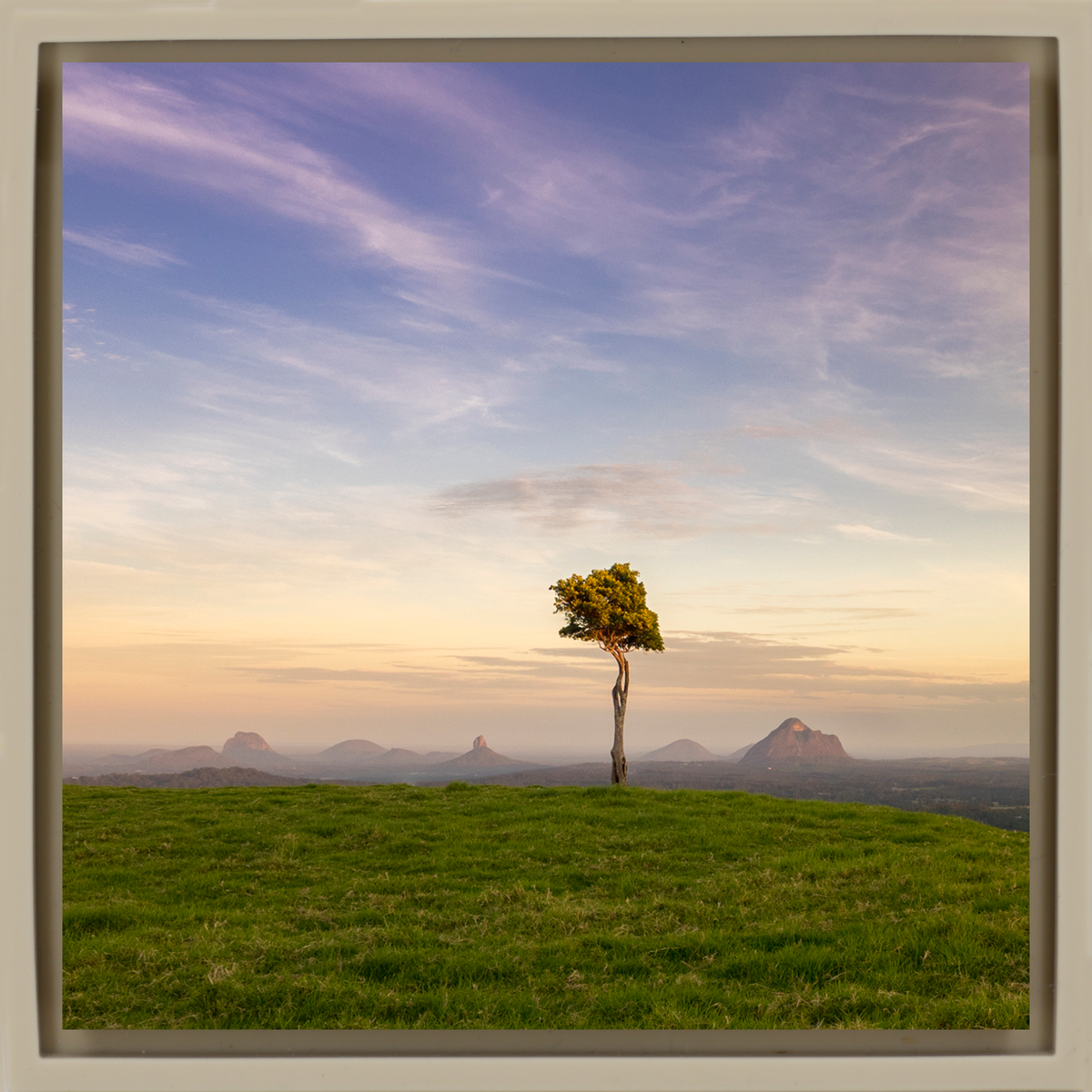 Ancient Landscape