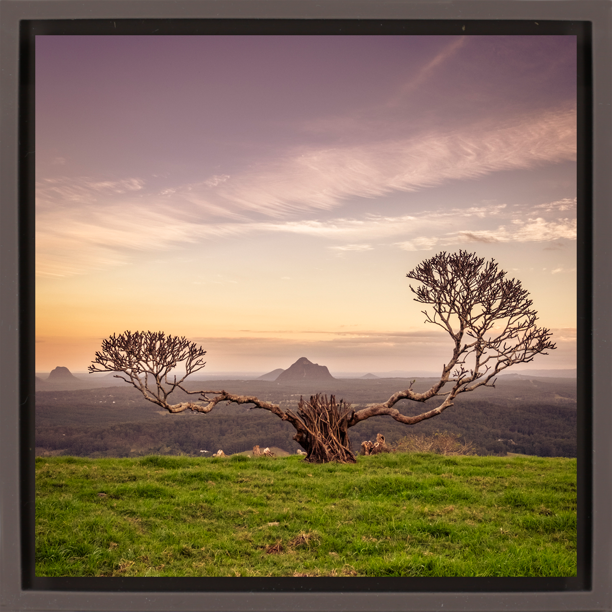 The Reach of Australia - Bruine Wrapp