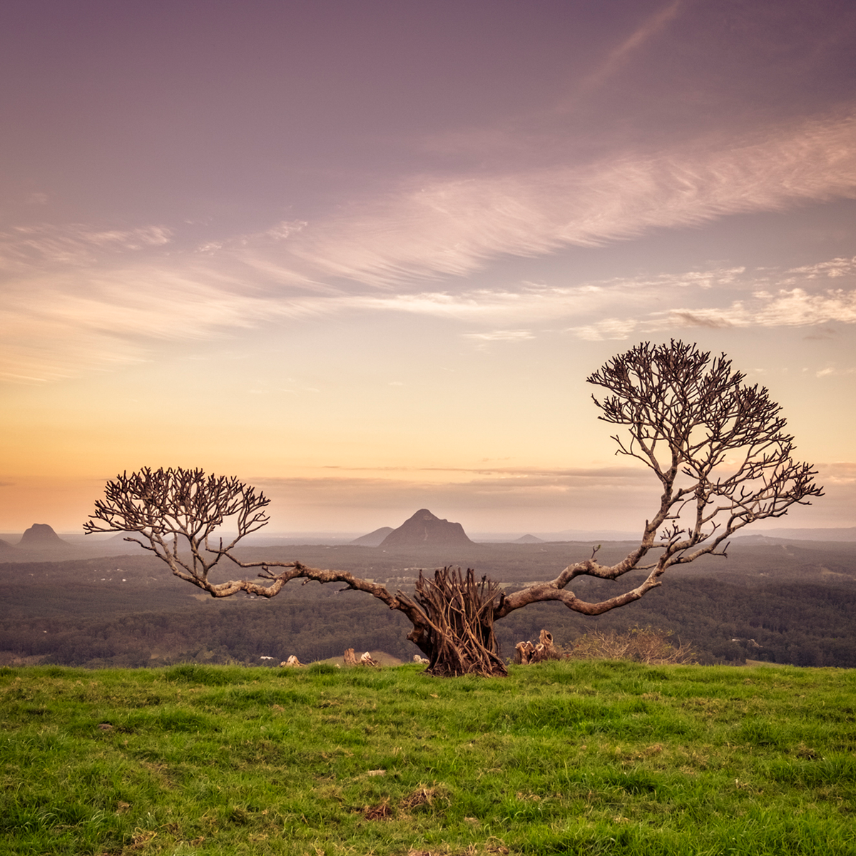 The Reach of Australia