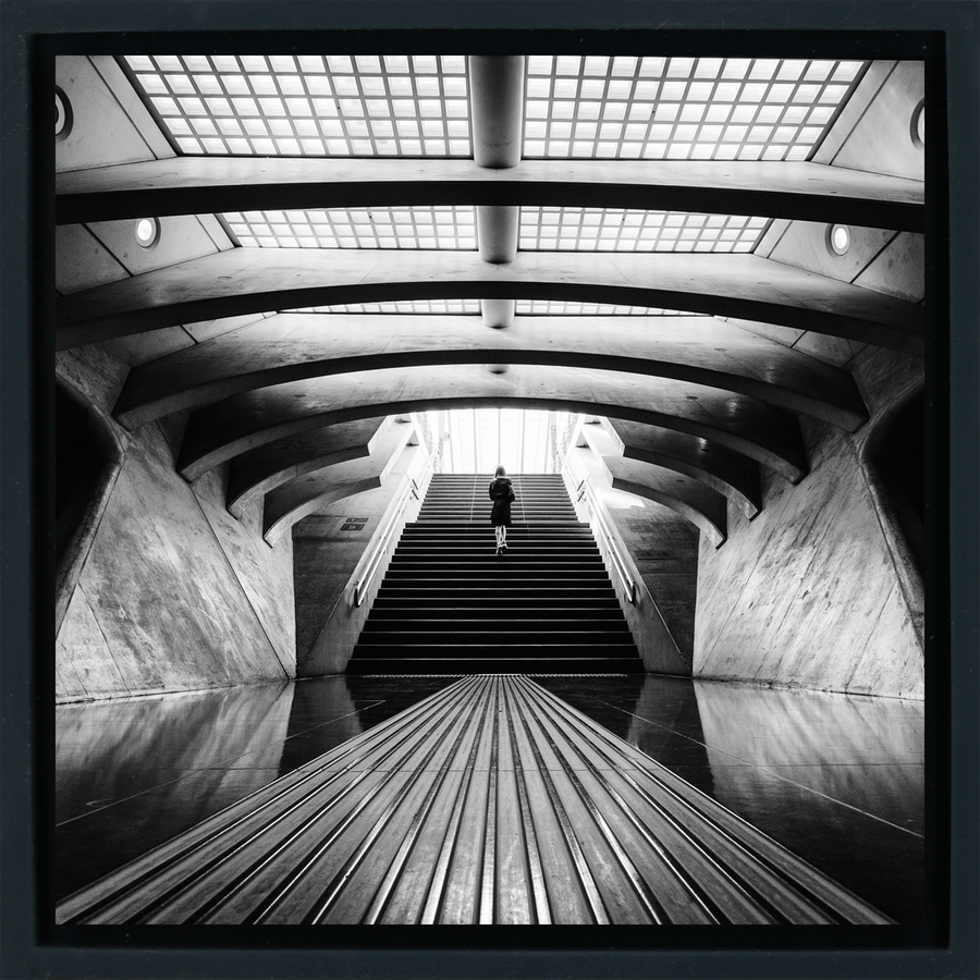 Symmetry in Belgium - Black Wrapp