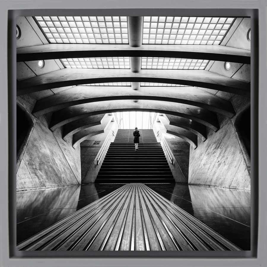 Symmetry - Graue Wrapp
