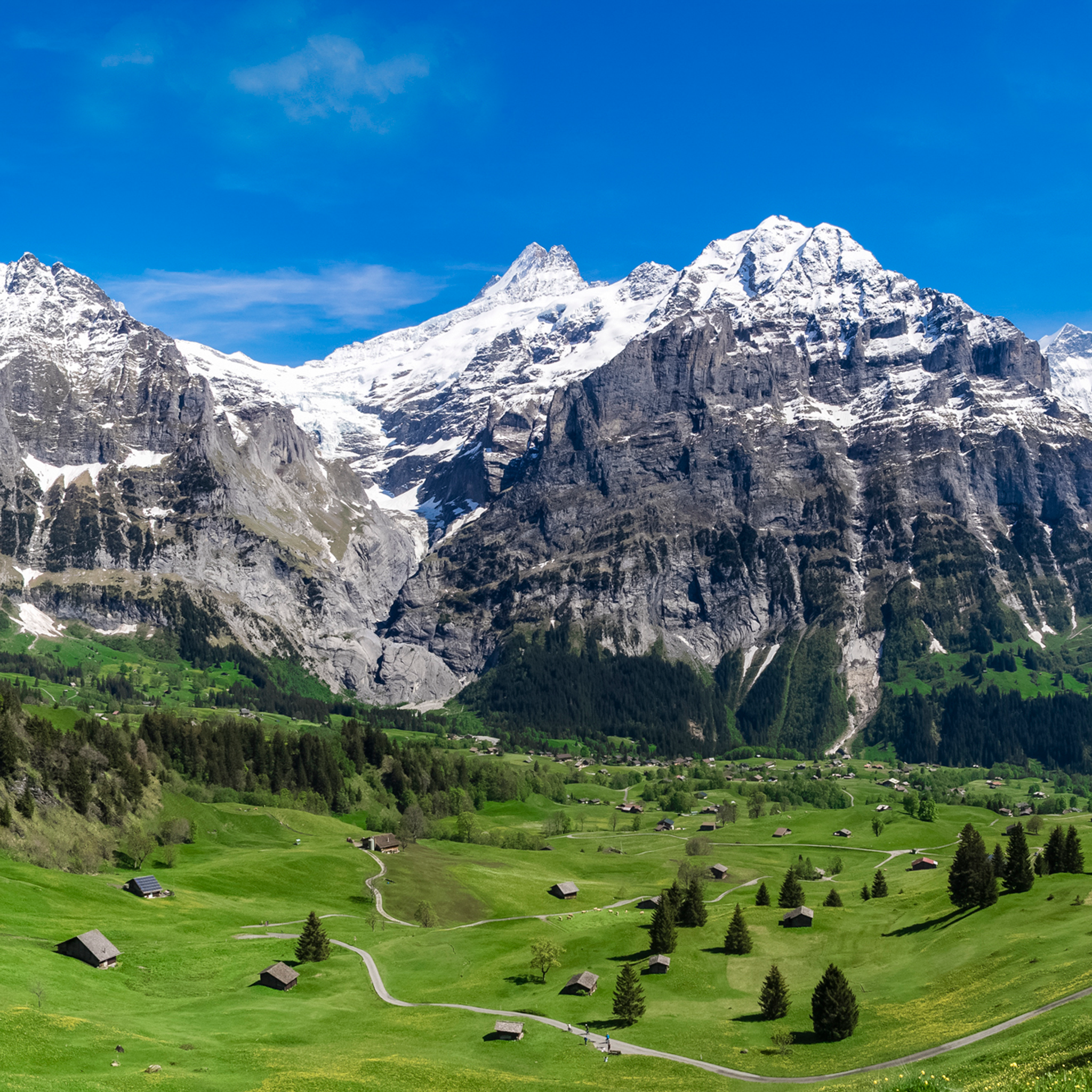 Zwitserse Alpen- Collectie: Zwitserland