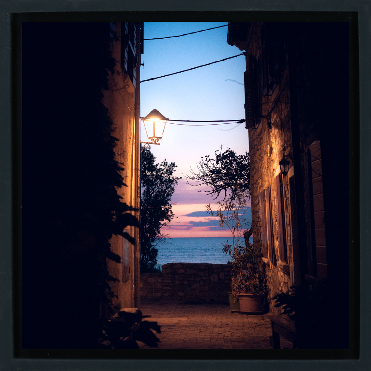 Alley With a View
