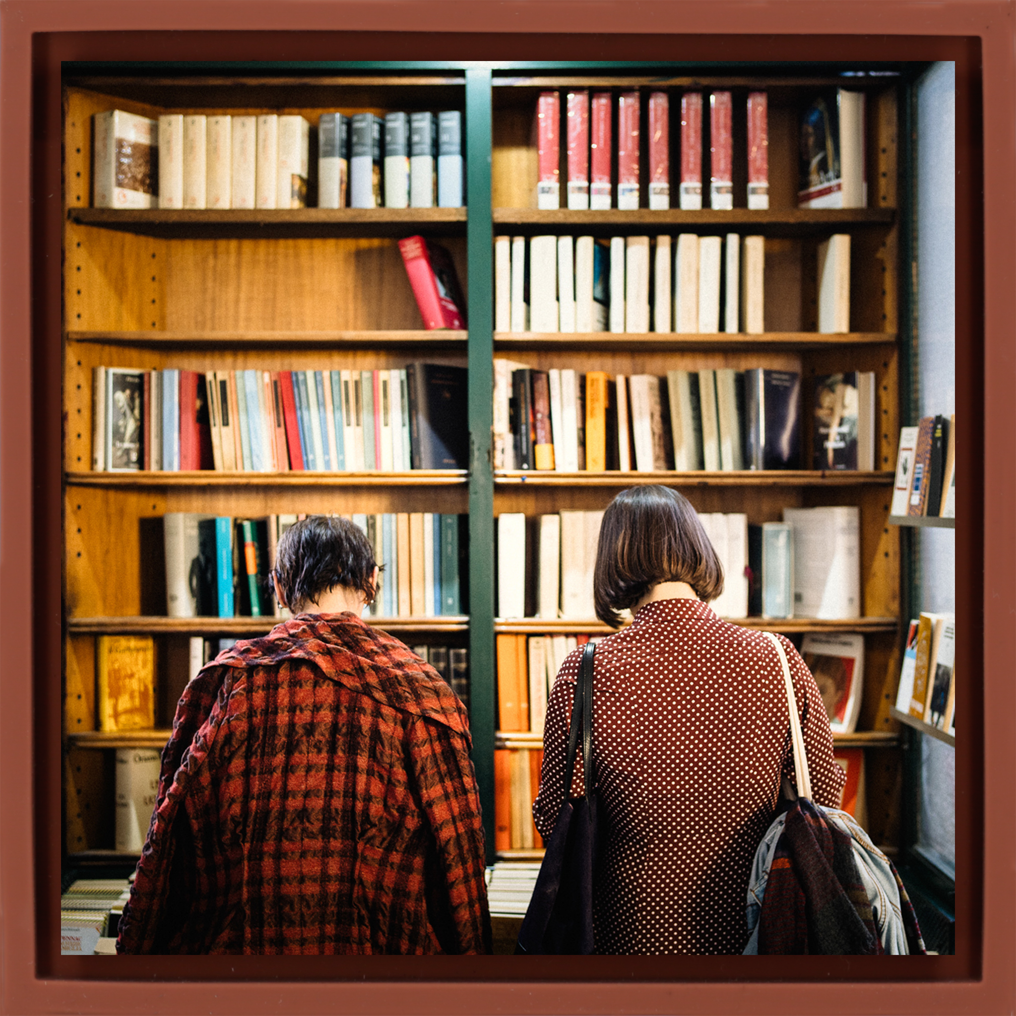 Browsing- Terra Wrapp