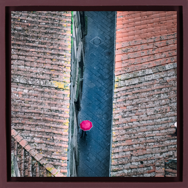 Rainy Day in Lucca - Purple Wrapp