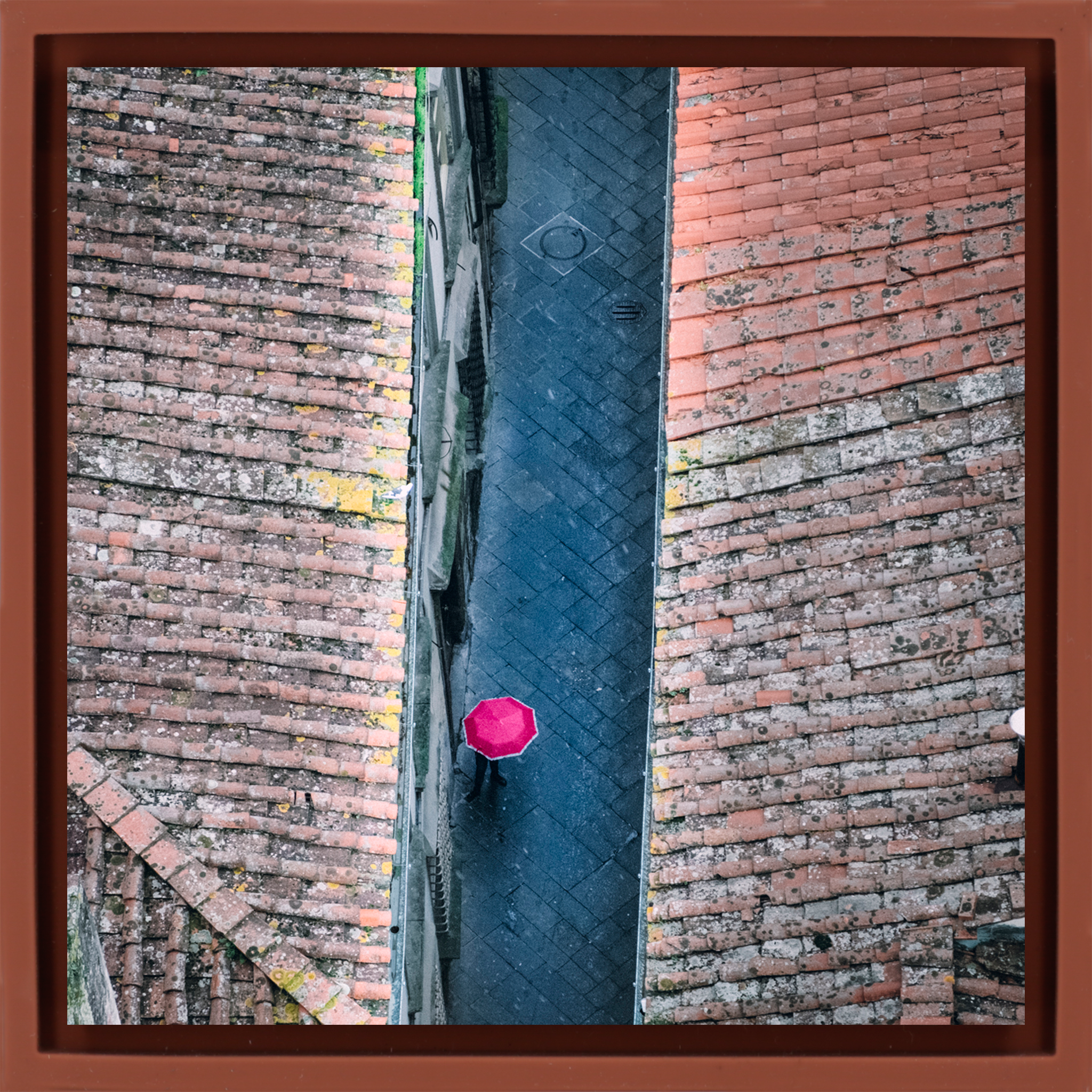 Rainy Day in Lucca - Terra Wrapp