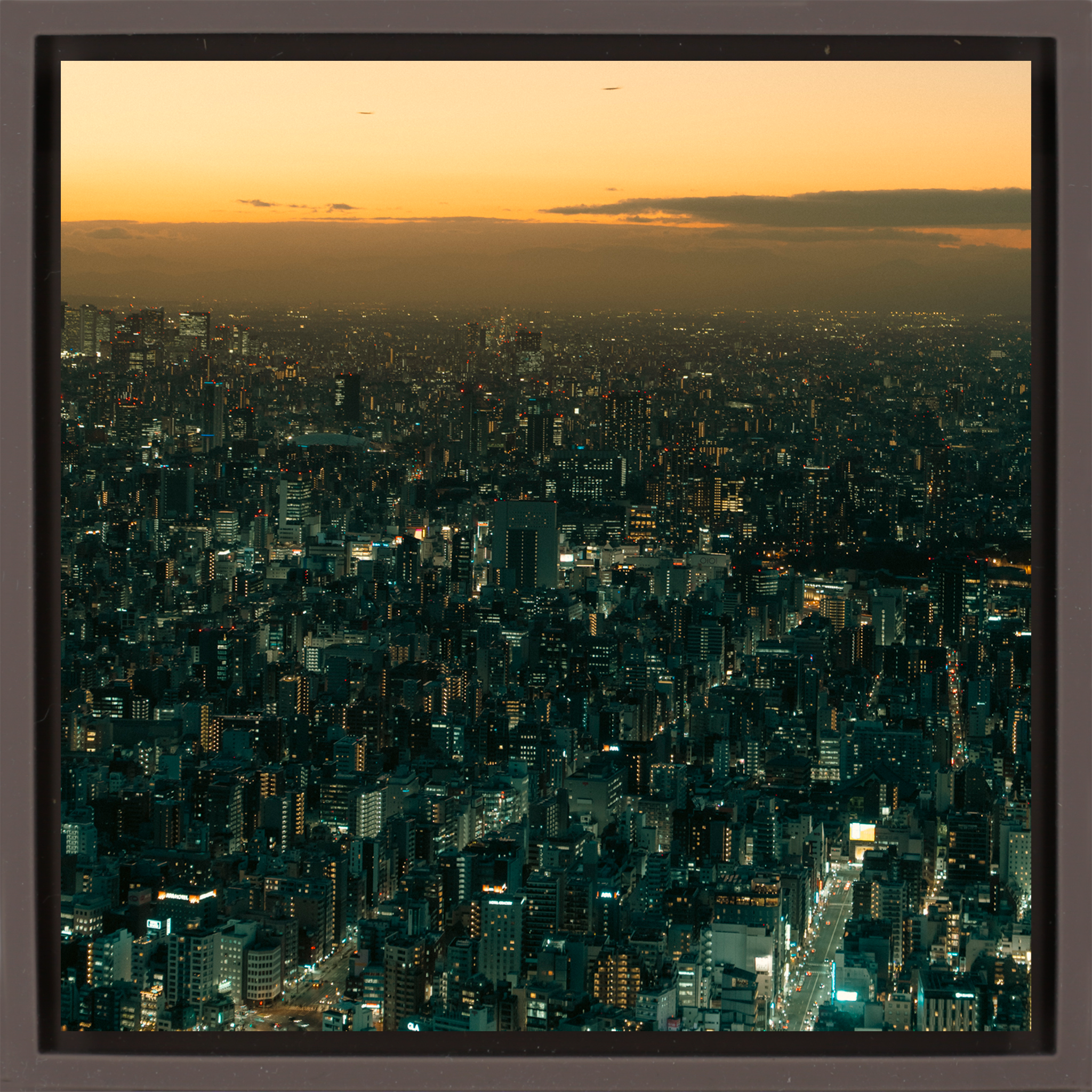 Tokyo Twilight - Bruine Wrapp