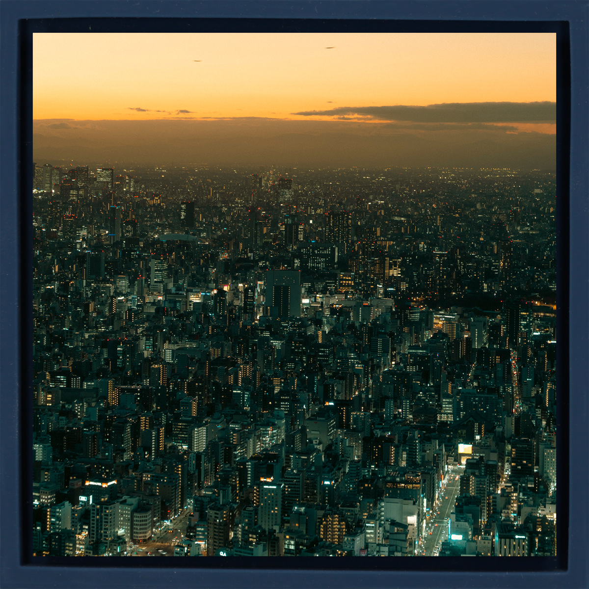 Tokyo Twilight