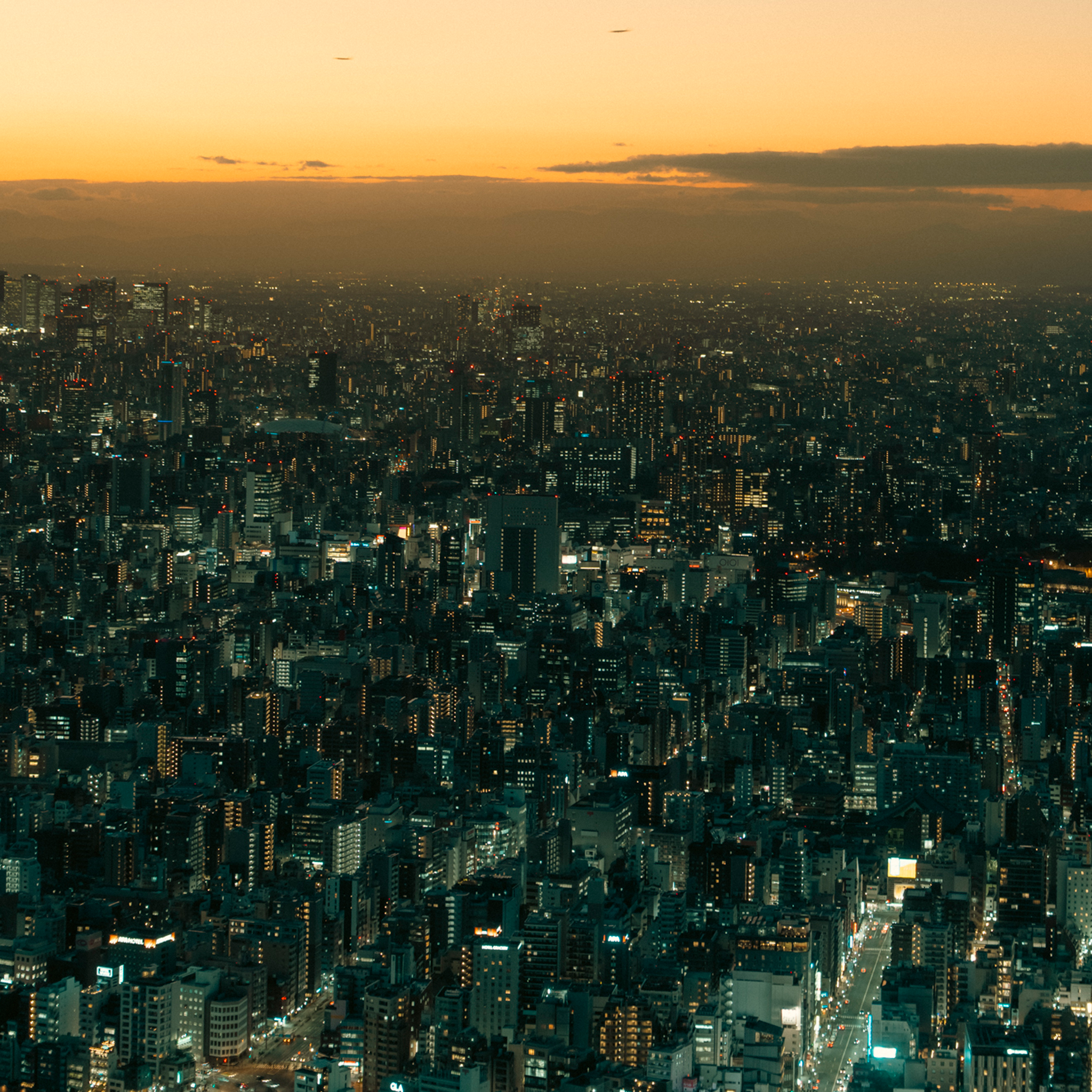 Tokyo Twilight- Collectie: Japan