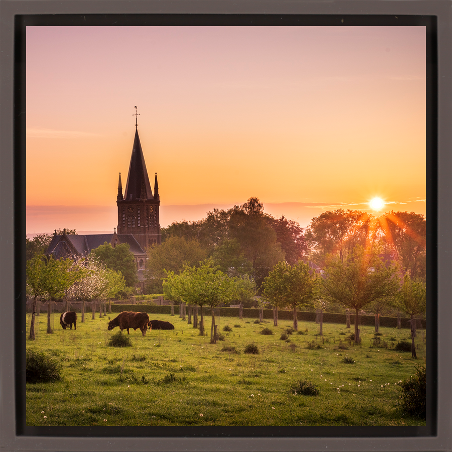 Limburg Province - Brown Wrapp