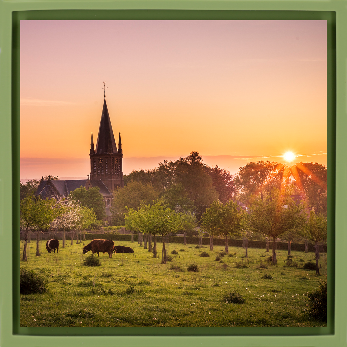 Limburg Province