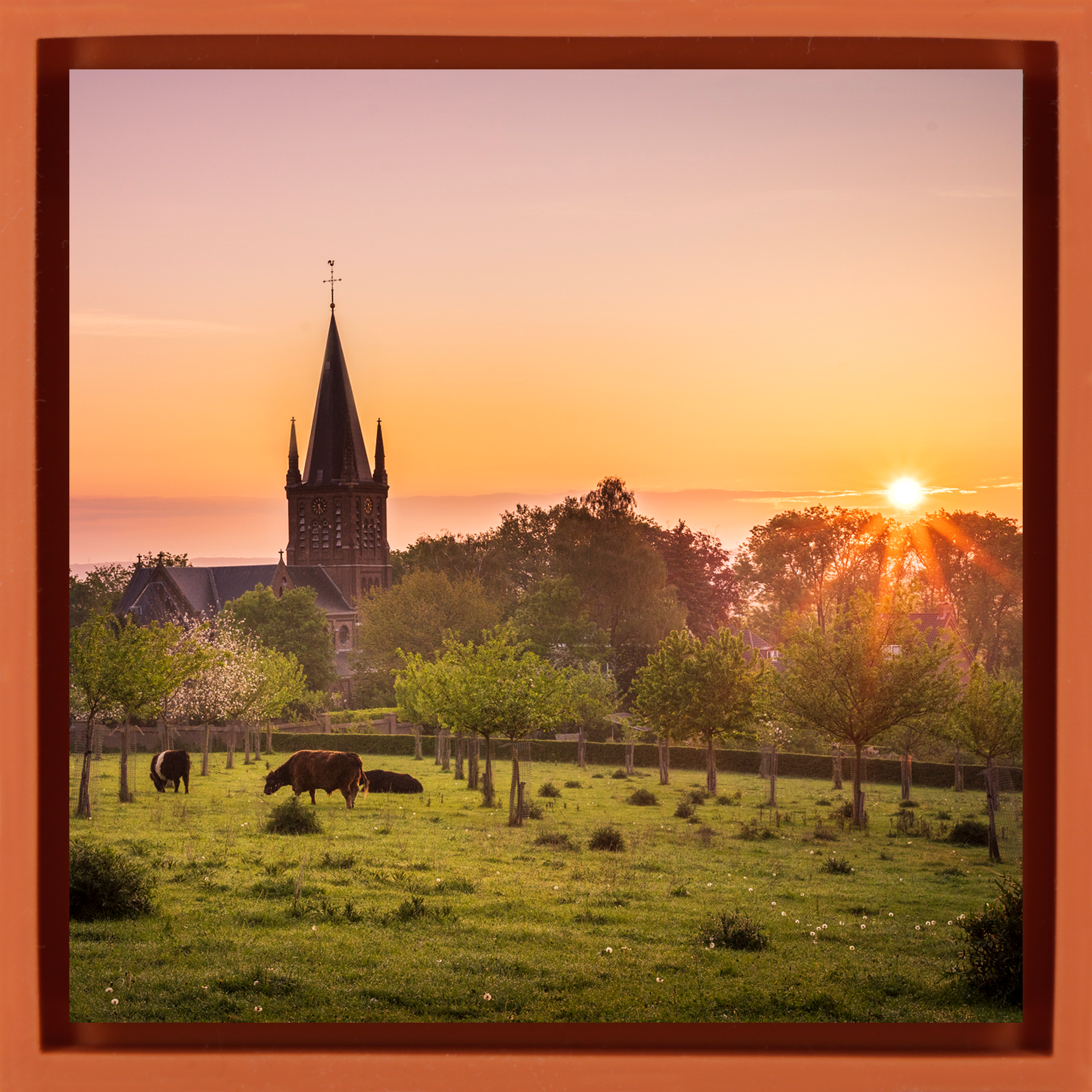 Limburg Province - Oranje Wrapp