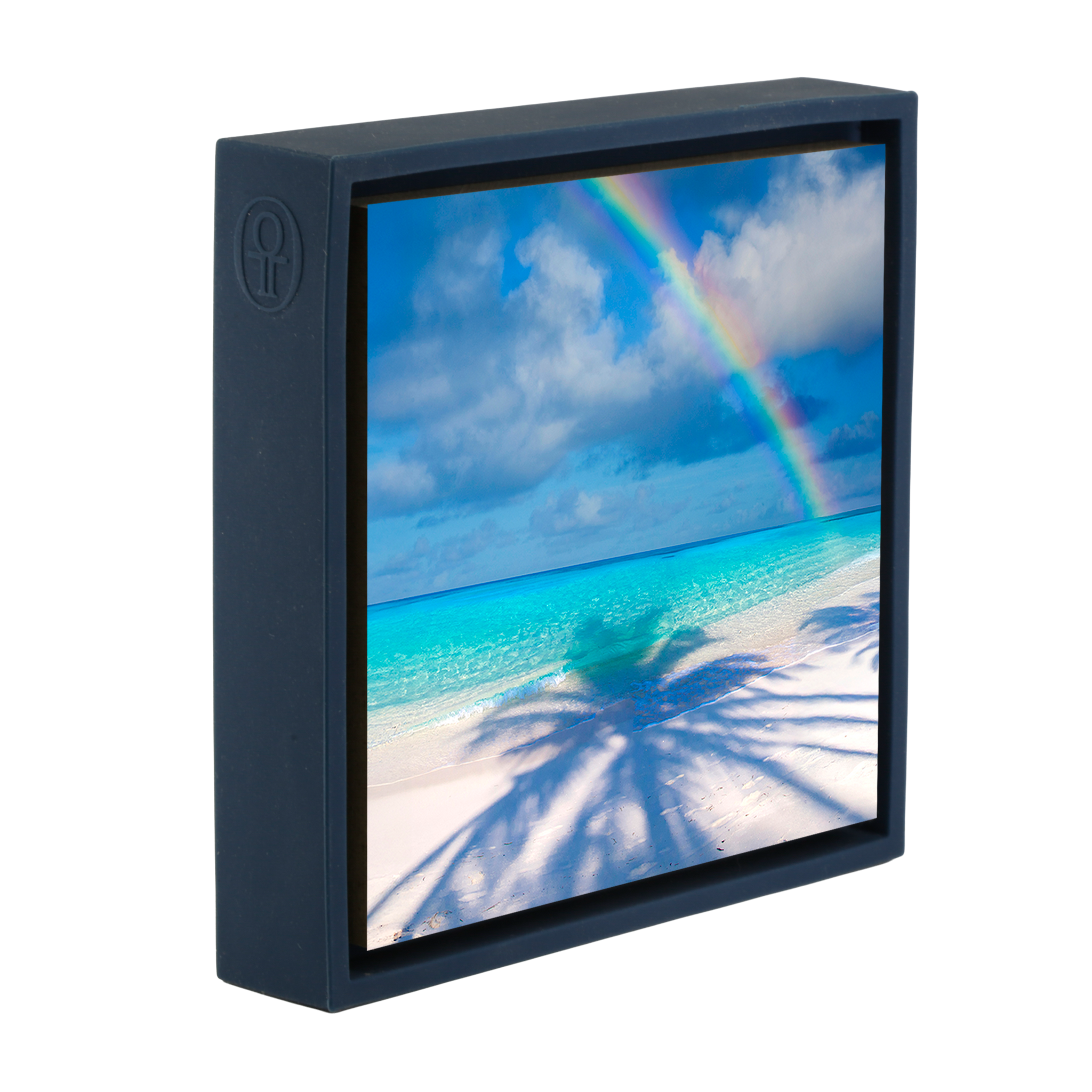 Palm Shadow Bow- Dark Blue Wrapp